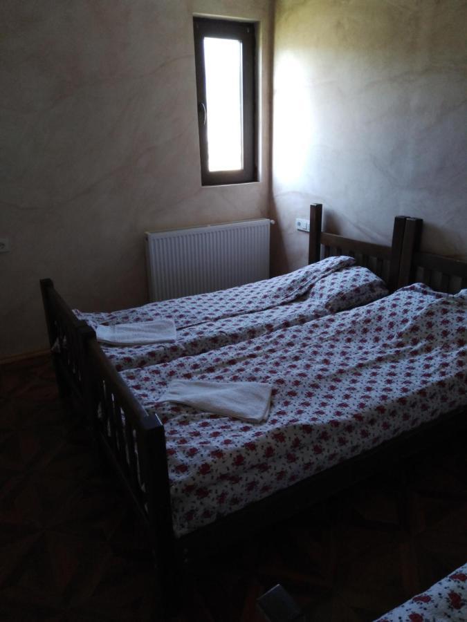 Family Hotel Mtamta Gudauri Bagian luar foto