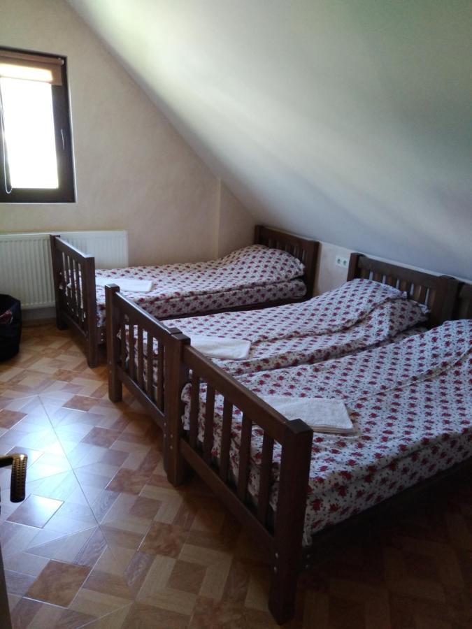 Family Hotel Mtamta Gudauri Bagian luar foto