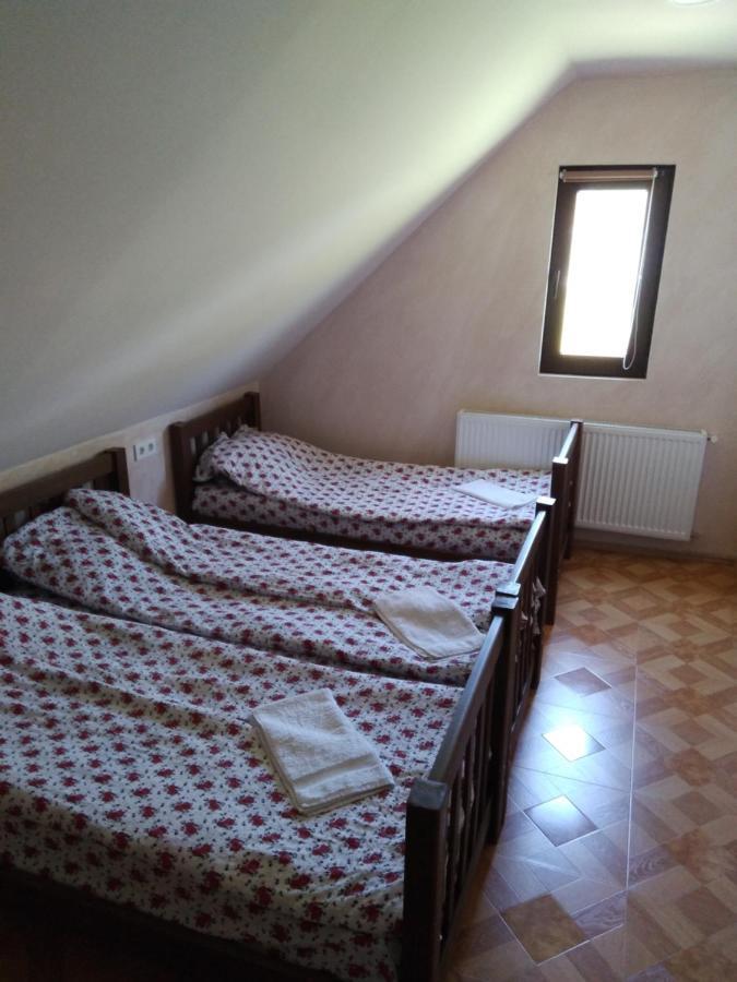 Family Hotel Mtamta Gudauri Bagian luar foto