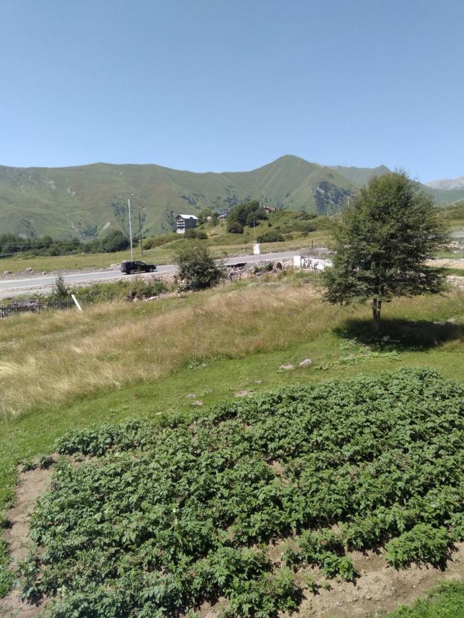 Family Hotel Mtamta Gudauri Bagian luar foto